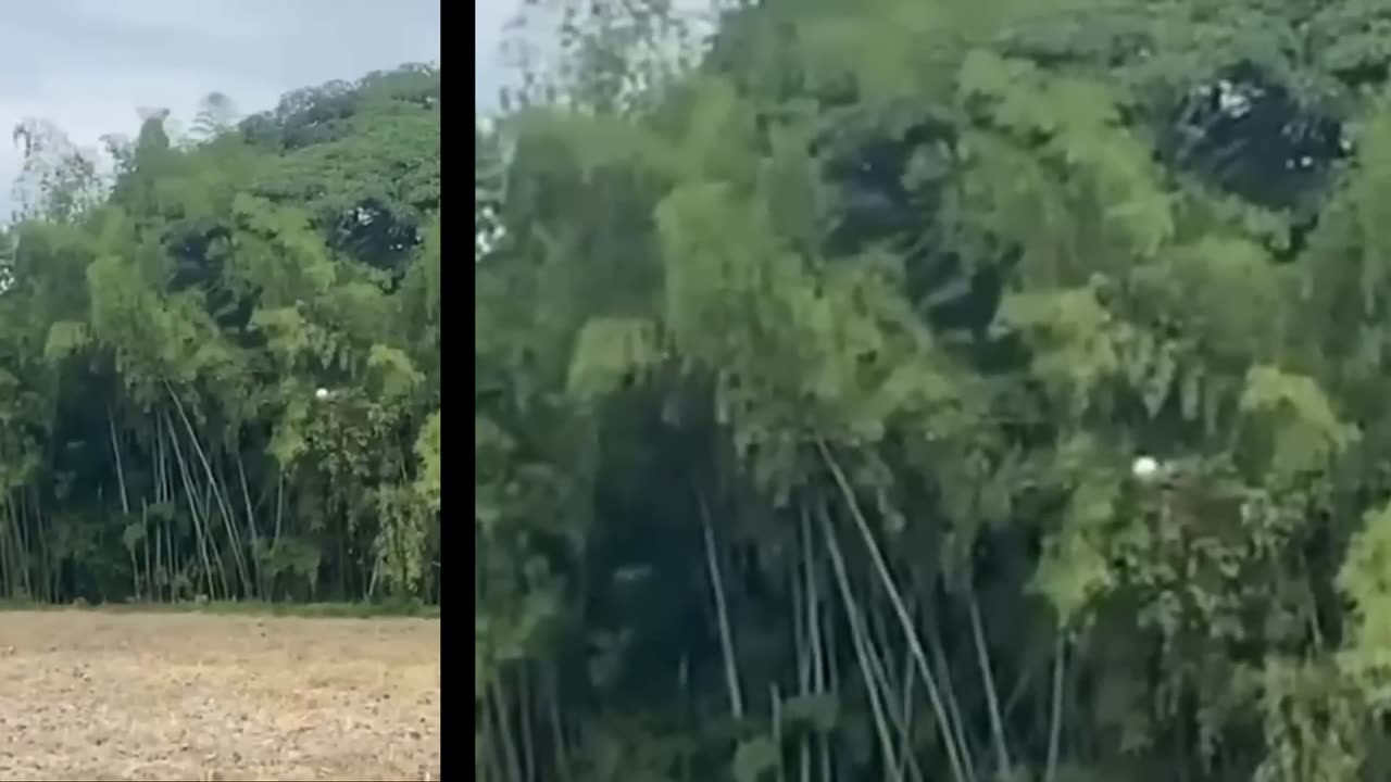 Images inexpliquées ! Un OVNI rose en Russie