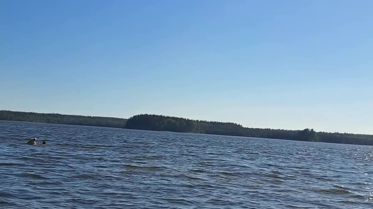 Ducks Enjoying Warm Lake! Overheated? Dive In! 🦆
