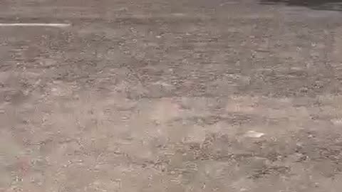 Taken For A Ride