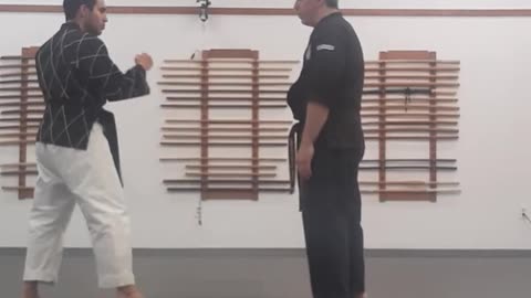 Tong Hap Kwan Hoshinsul/Hapkido Class Part 4
