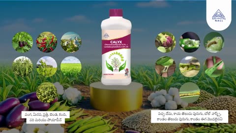 Crop Protection Insecticides | NACL Industries India