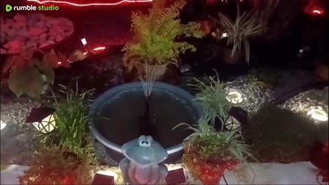 Relájate con el sonido de Puerto Rico.Pasa el rato con Armandito