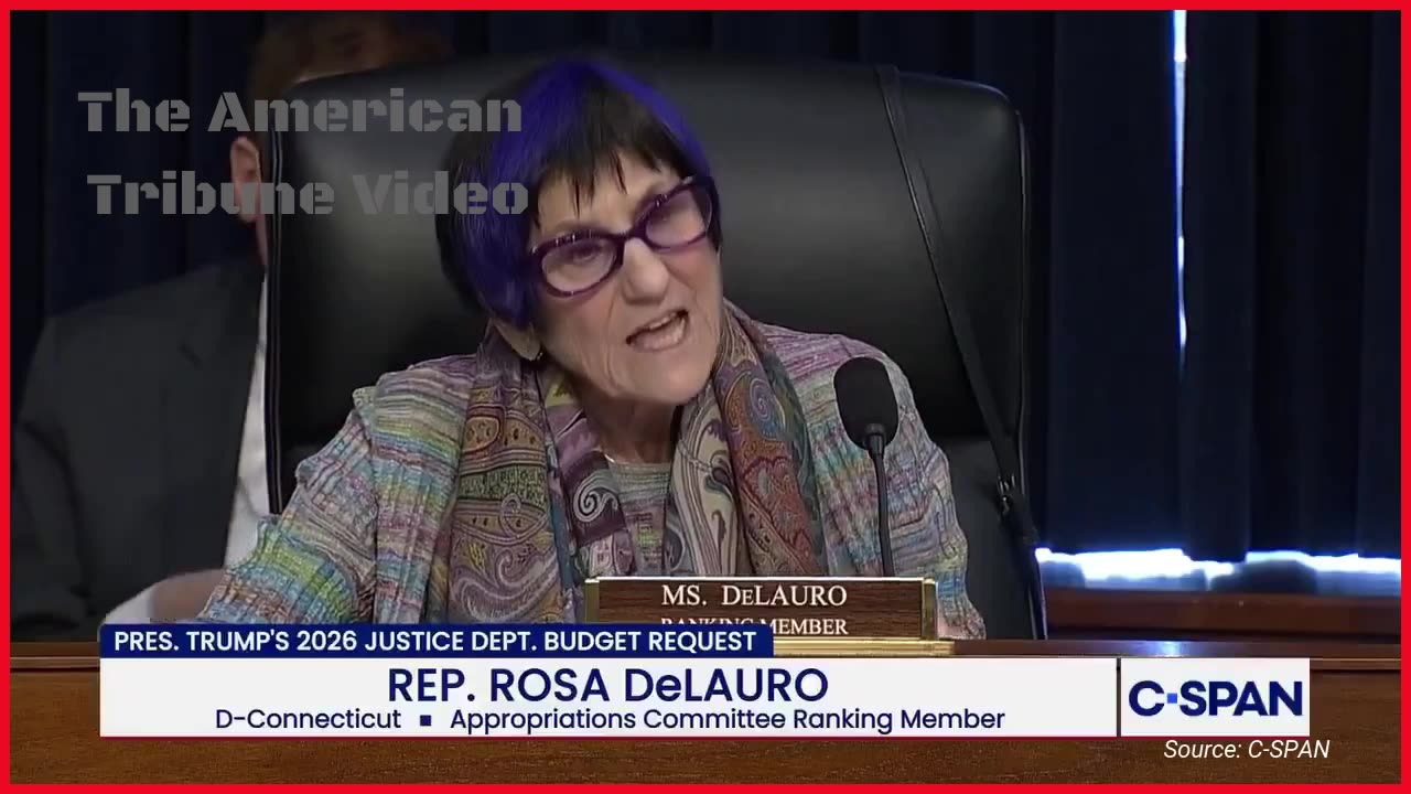 Blue Haired Dem Blows a Gasket after Pam Bondi Has Epic Mic Drop Moment