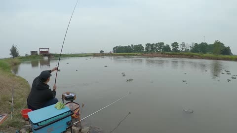 Fische am Haken Flussabenteuer
