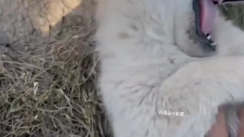 ?