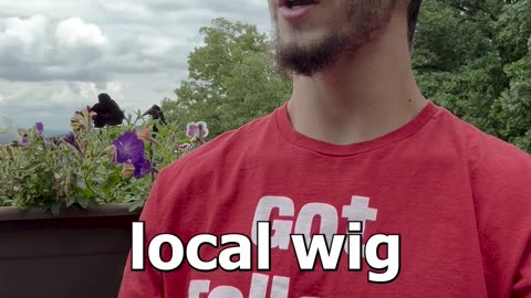 Wig Shop
