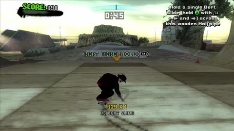 tony hawk's american wasteland