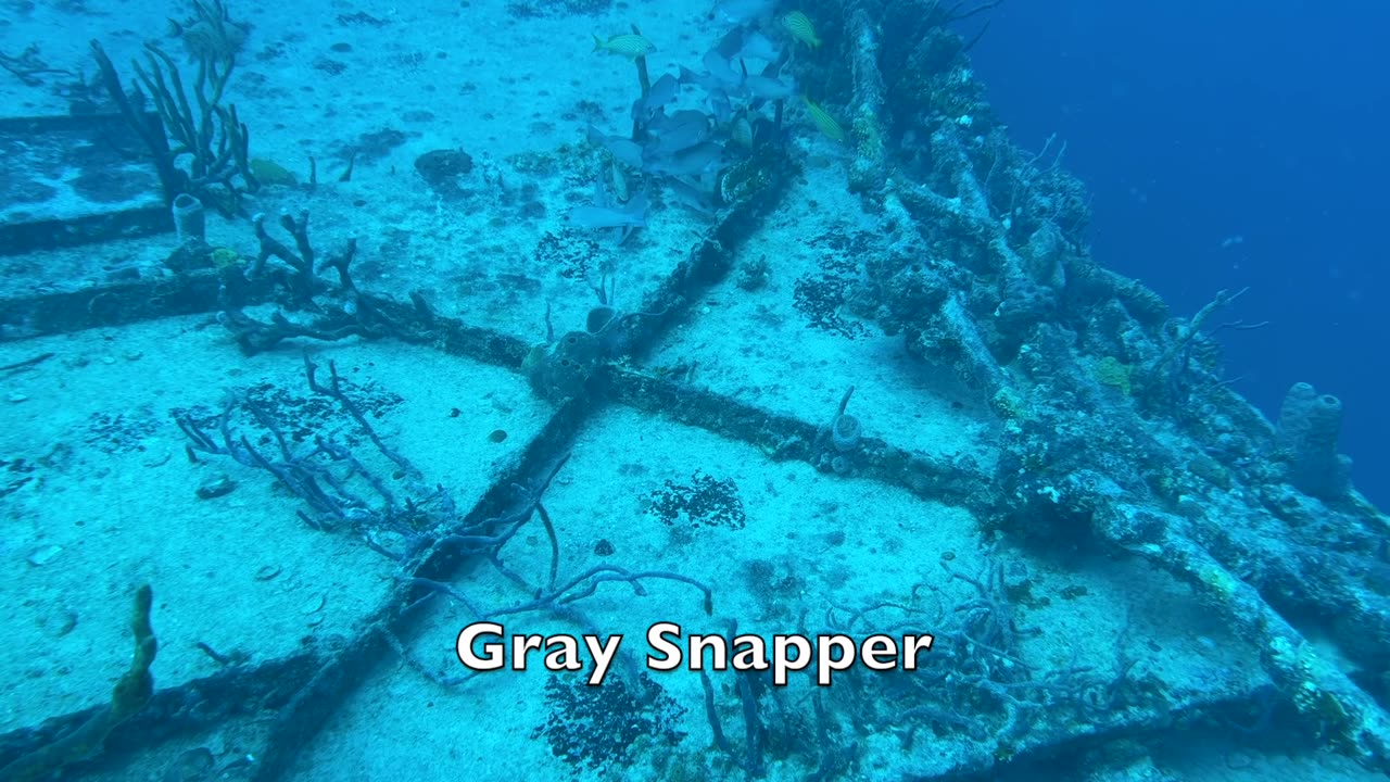 Wreck Diving US Coast Guard Cutter Duane Off Key Largo Florida - Depth 80 Feet