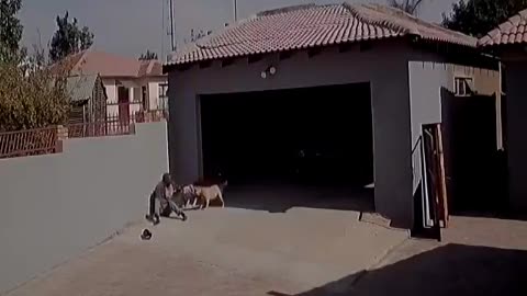 All Good In Da Hood and Sheeeit! 8