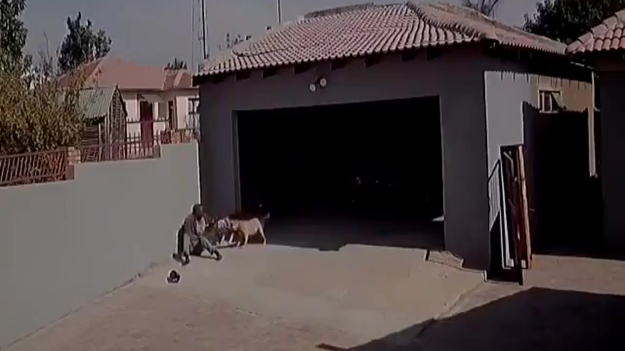 All Good In Da Hood and Sheeeit! 8