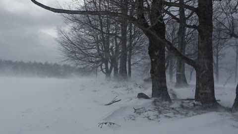 When the Wind Tries to Freeze Your Soul ❄️🌬️