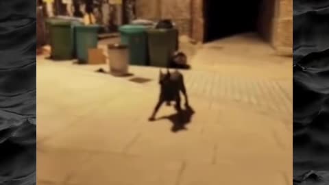 😨👻 What This Person Captured Will Give You Chills! Creepy Paranormal Footage | TheHauntingHour