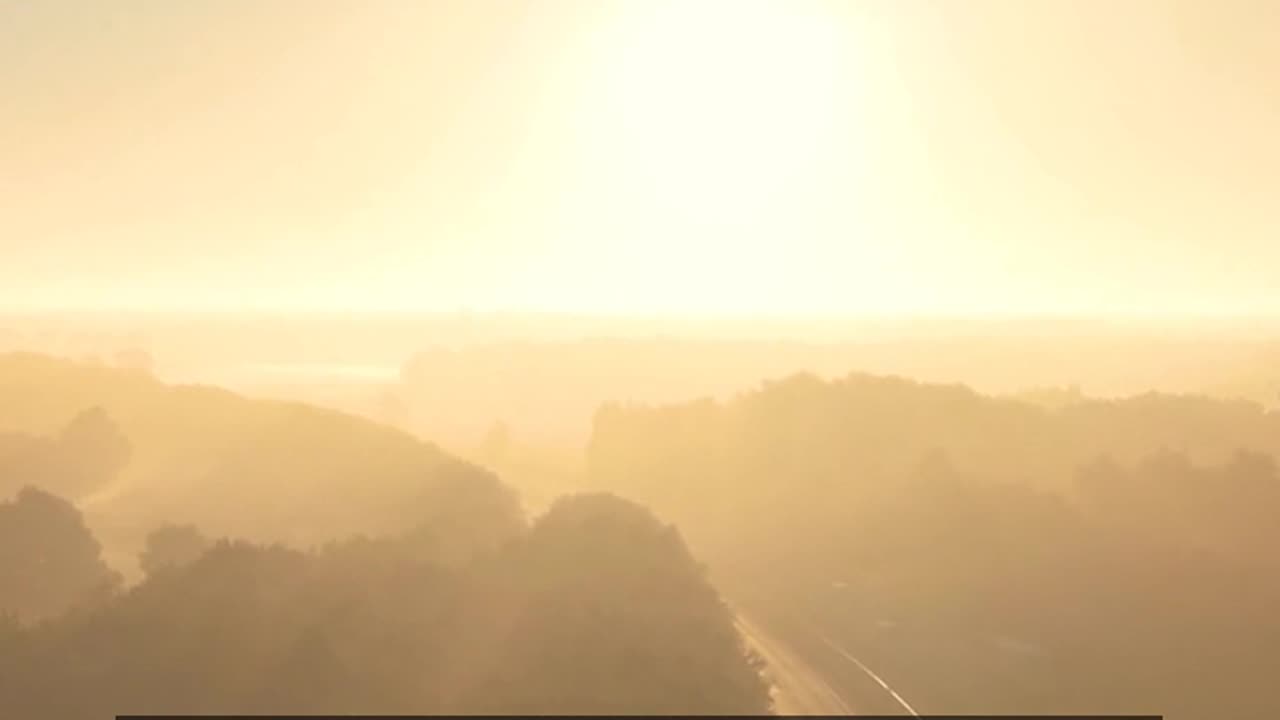 Daily Horoscope | Leo 🌟