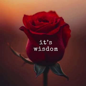 "You can love someone and take distance"