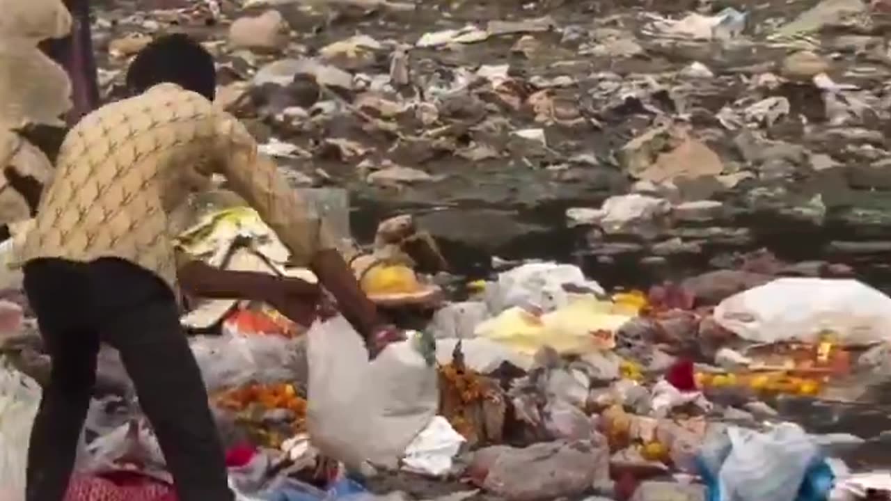 Japan vs India