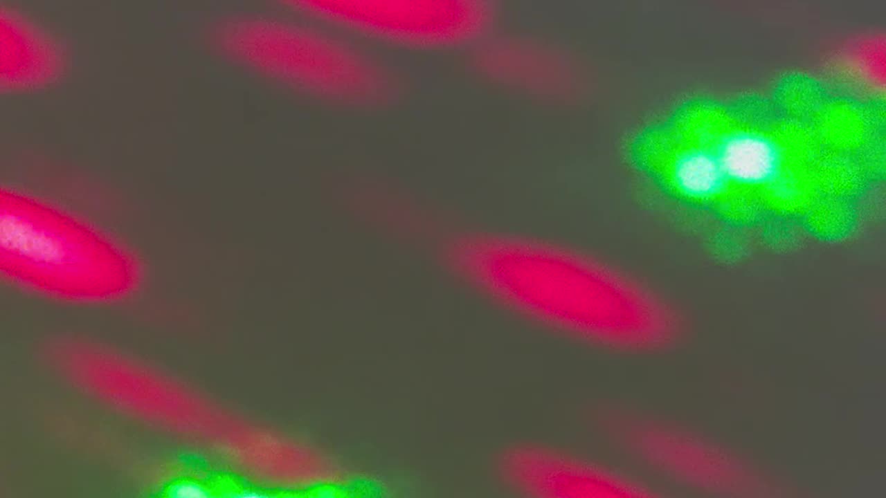 βπΊπΈ Bye bye baby bye bye πΊπΈβ