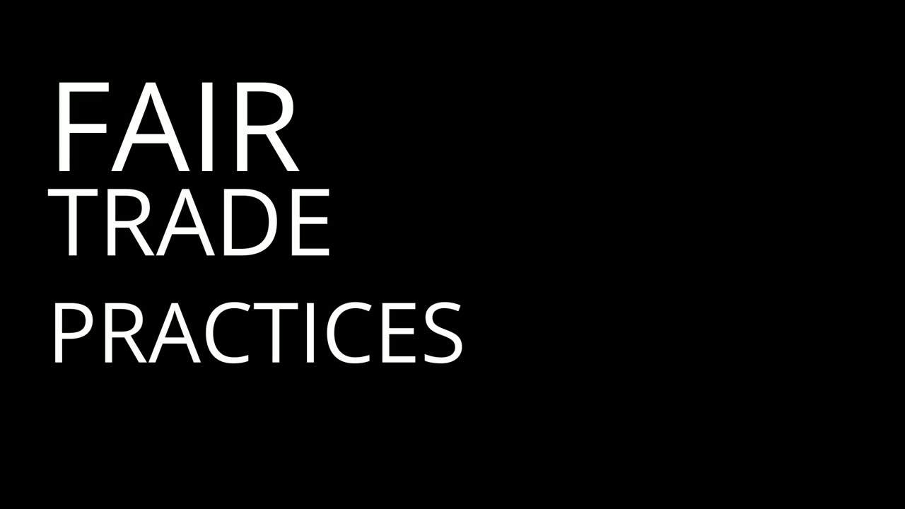 The Hidden Cost of Tariffs: A Small Business Nightmare | Adam Smith - Part 6