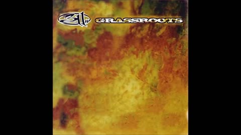 311 - GRASSROOTS 1994 [FULL ALBUM] HD