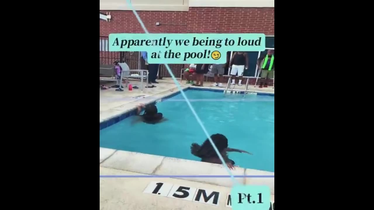 Loud SeaLions At The Pool