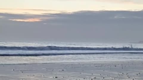 Fog Bank Rolls