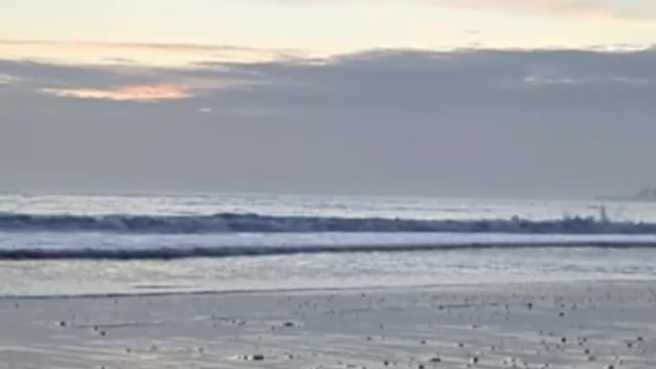 Fog Bank Rolls