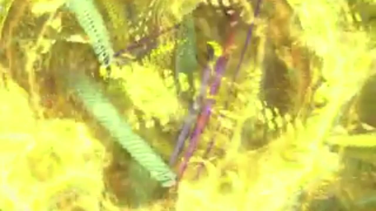 ElectricFlockis Peaceful Study Room