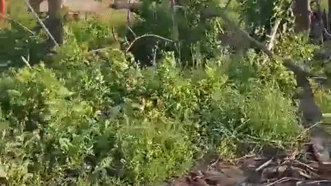 🚗💥 Ukraine Russia War | Russian POV: Destroyed Ukrainian Vehicles on Yunakovka Highway | RCF
