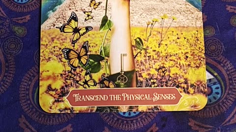 Oracle Card Reading 6/23/25