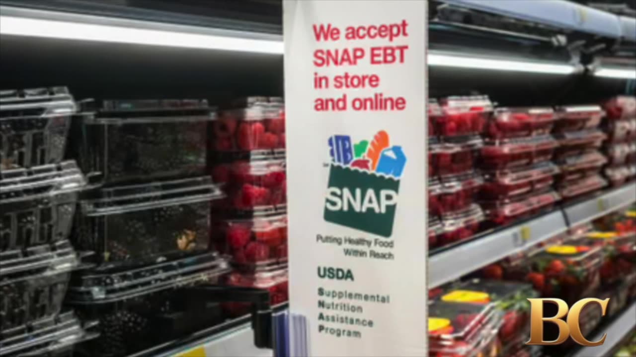 SNAP recipients told to buy shelf-stable food or go to food banks as funding deadline looms