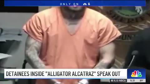 Illegal housed at Alligator Alcatraz says "the mosquitoes are THE SIZE OF ELEPHANTS"