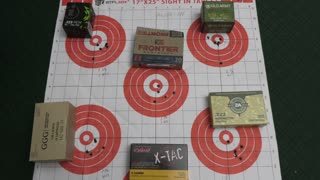Andro corp. ACI-15 rifle 55grain ammo accuracy test