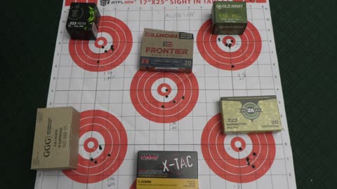 Andro corp. ACI-15 rifle 55grain ammo accuracy test