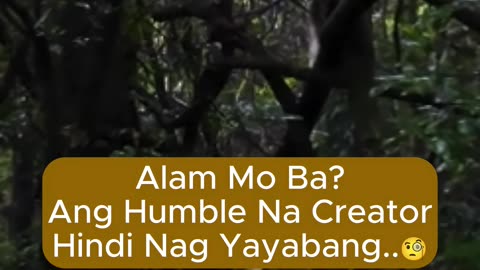 Ang Humble Na Creator