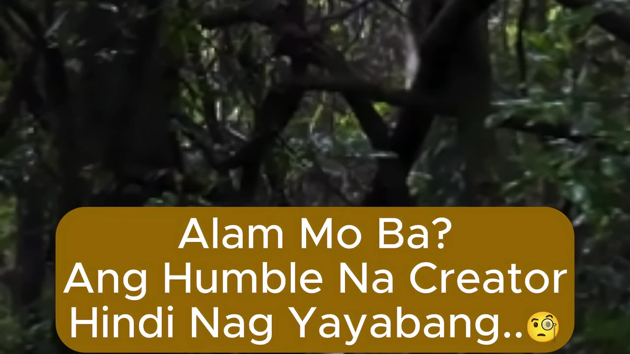 Ang Humble Na Creator