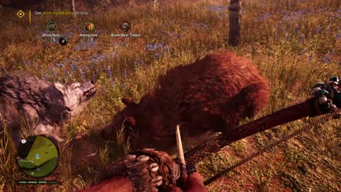 These Bears are dangerous in this game