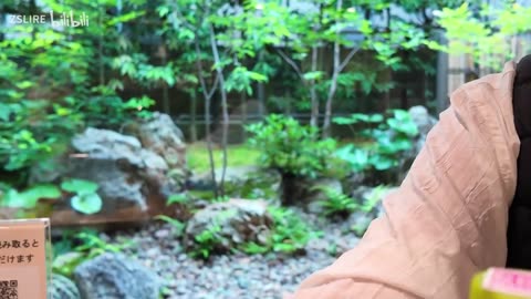 VLOG｜Wandering Kyoto | Snacks, Sips & A Calm Stroll Through Uji🌿🍡