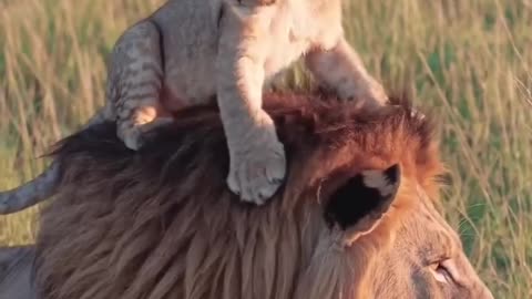 Play time with dad