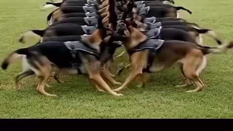 Train up