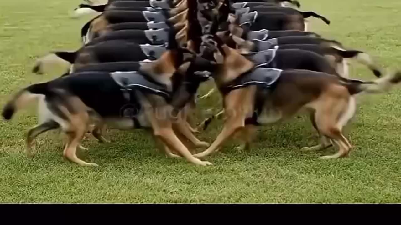 Train up