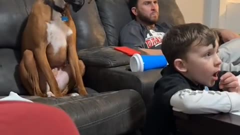 "Why Is This Dog Looking at Kids Like That? 🤔😂"