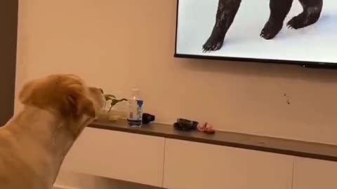 Where did that guy go?