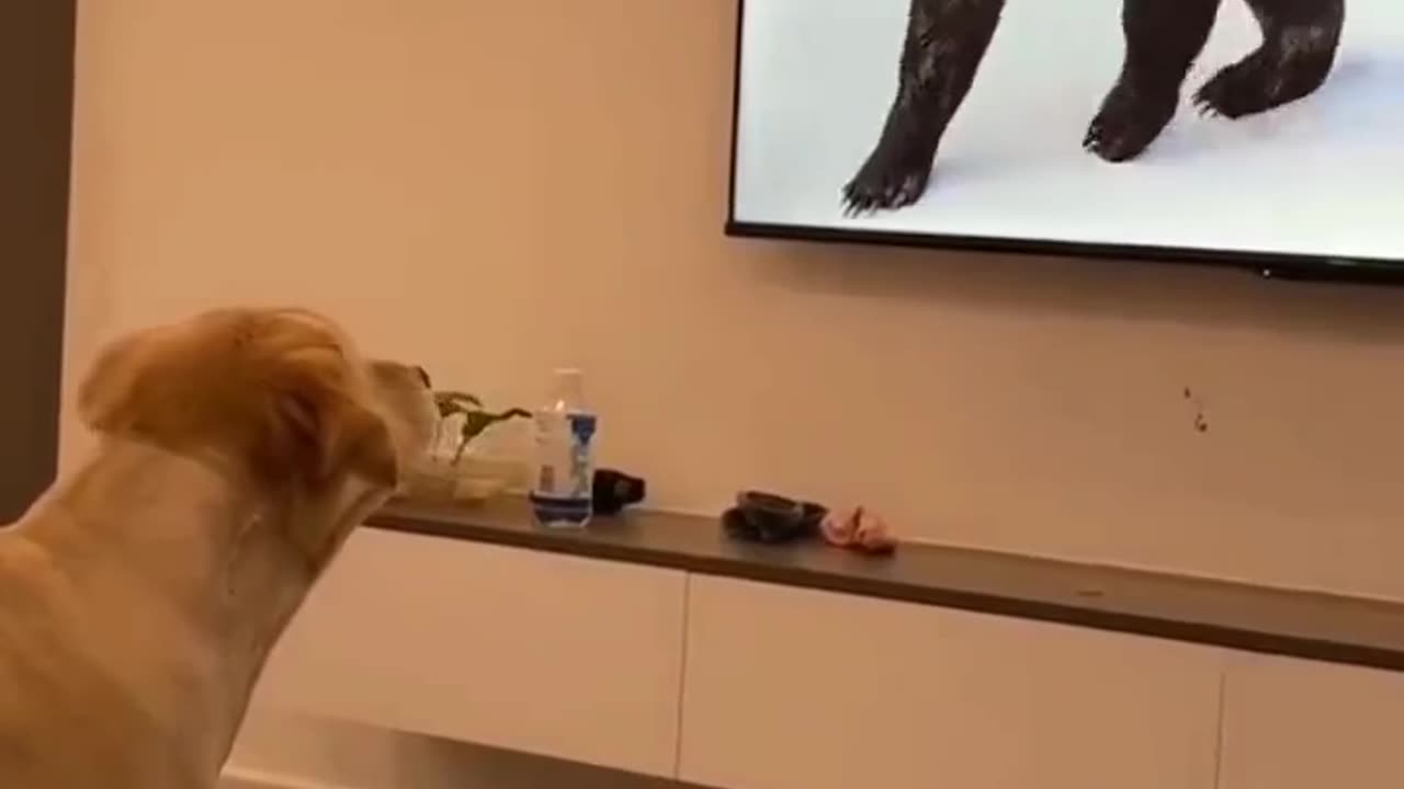 Where did that guy go?
