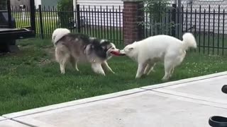 🤯🏆 Who Gonna Win This One? | FunFM