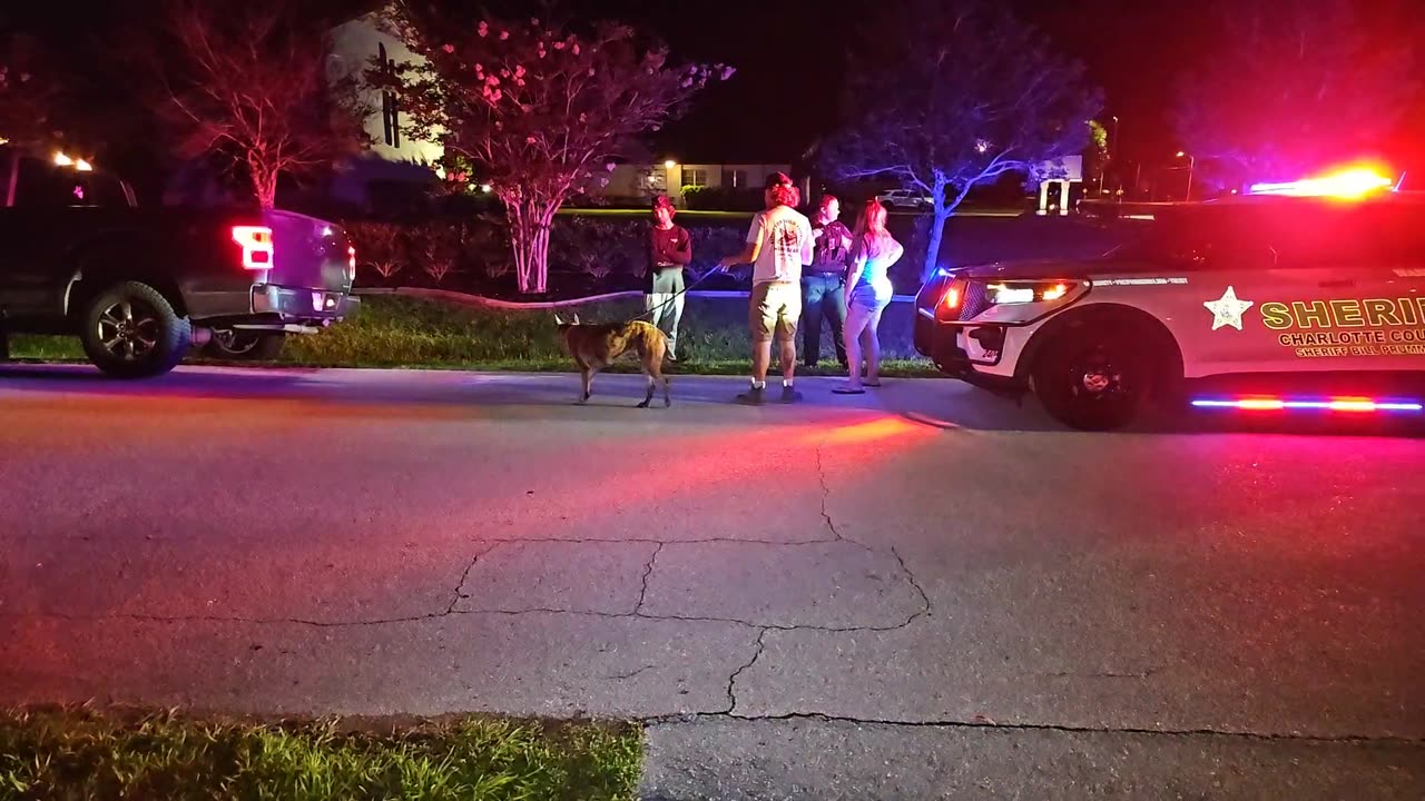 POLICE ACTIVITY #cops #police #lawenforcement