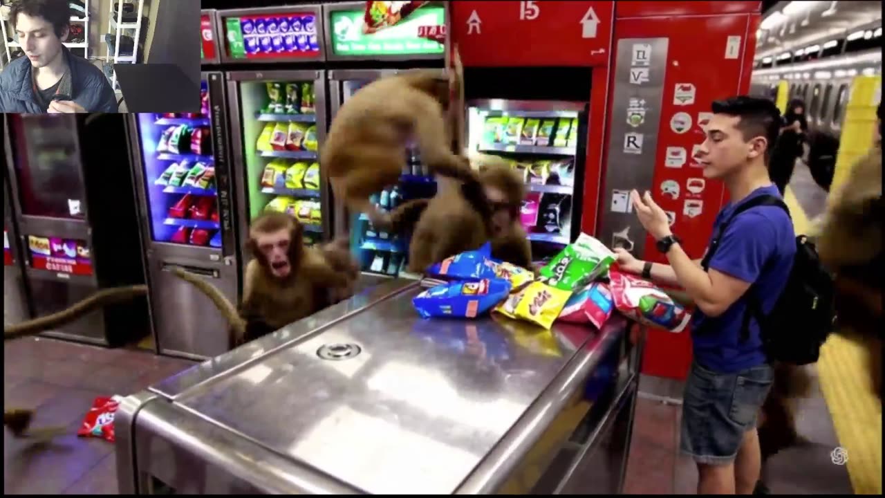 Outtake #1,061 Of Over 5 Monkeys Roam Around A Subway Station Fake Funny Parody Video