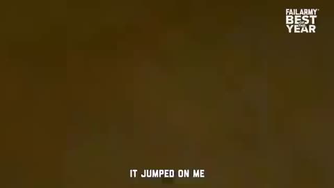 Best Funny Fails