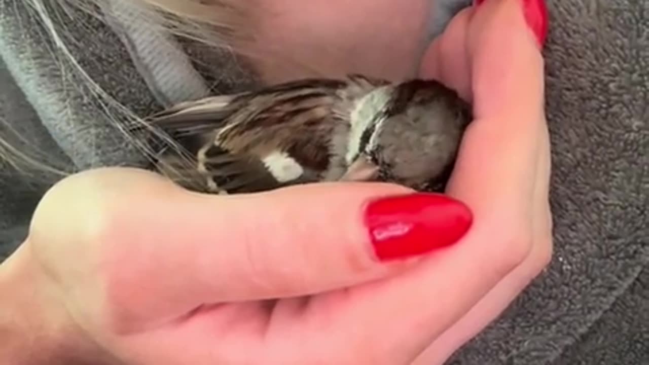 😂🤔 Jealous? Me? Why would you claim something so preposterous? | FunFM