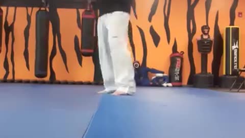 Tong Hap Kwan Hoshinsul Kicking Techniques