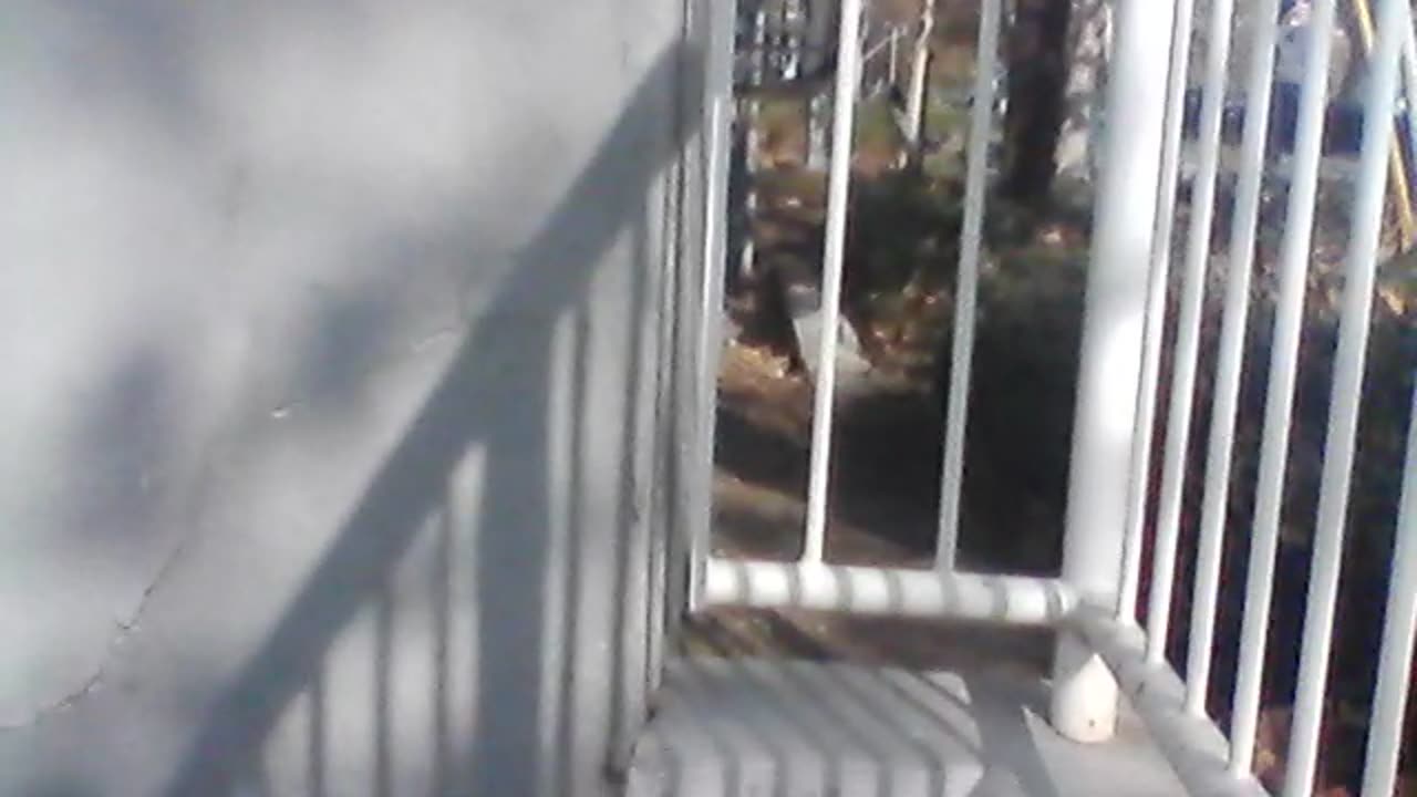 WIN 20250117 10 37 22 Pro