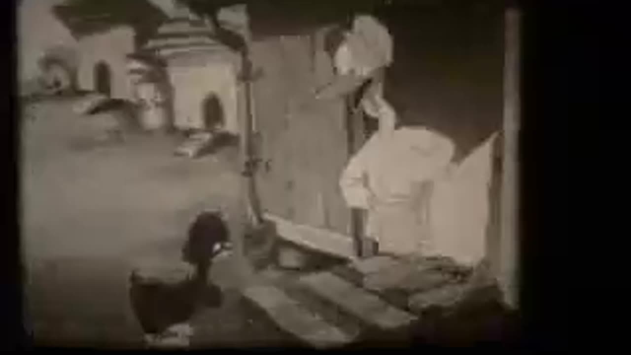 Dinky Duck - F/m F/m spanking